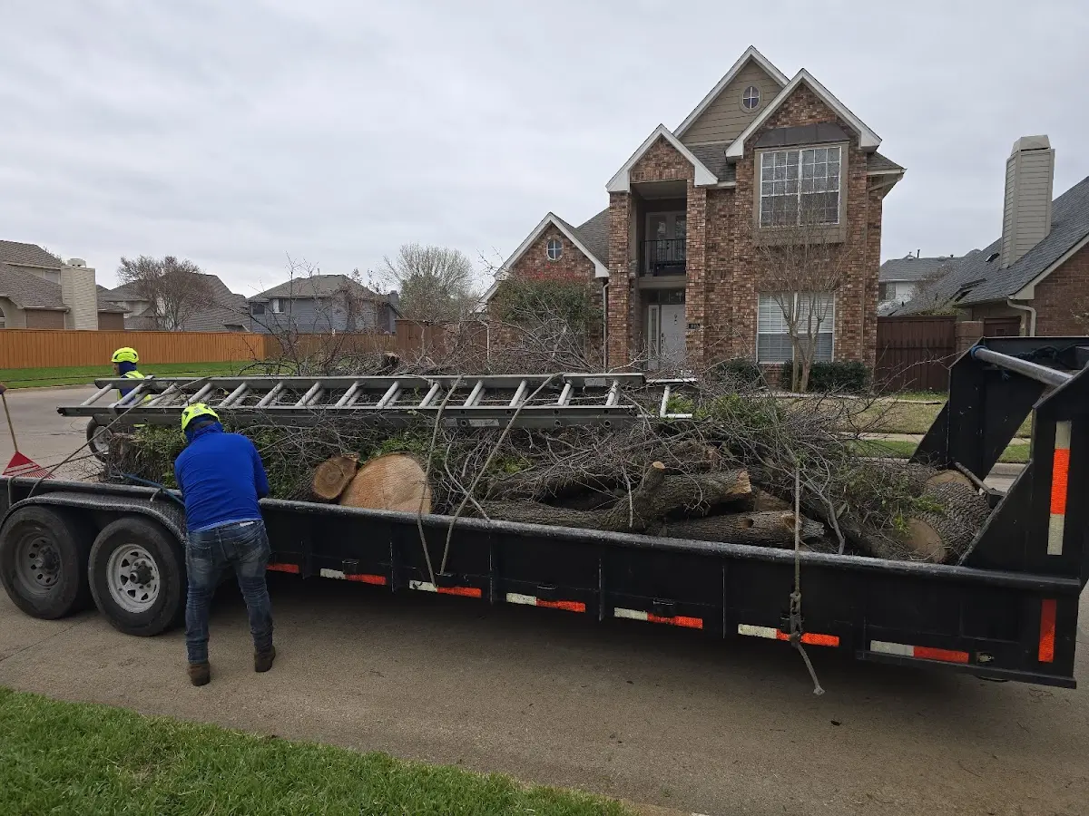Expert Tree Removal with proper safety equipment in Fox Island